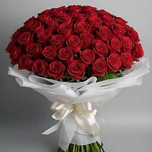 Букет 101 Красная роза Блэк Мэджик в Волот