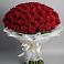 Букет 101 Красная роза Блэк Мэджик в Волот