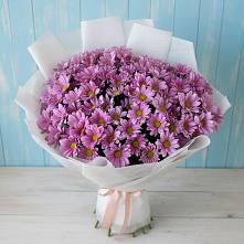 Букет цветов из:  Хризантемы в Волот