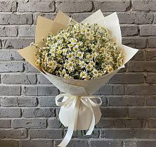 Букет цветов из:  Ромашки в Волот