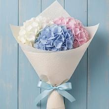 Букет цветов из:  Гортензия в Волот