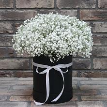 Цветочная композиция из Гипсофила в шляпной коробке в Волот