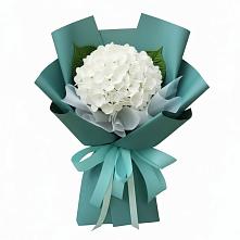 Букет цветов из:  Гортензия в Волот